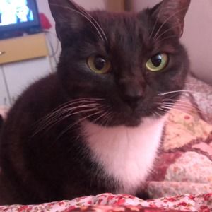 Meet your Posher, Barbara